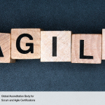 Agile Feasibility – Feasibility Phase Requirements and Investigation