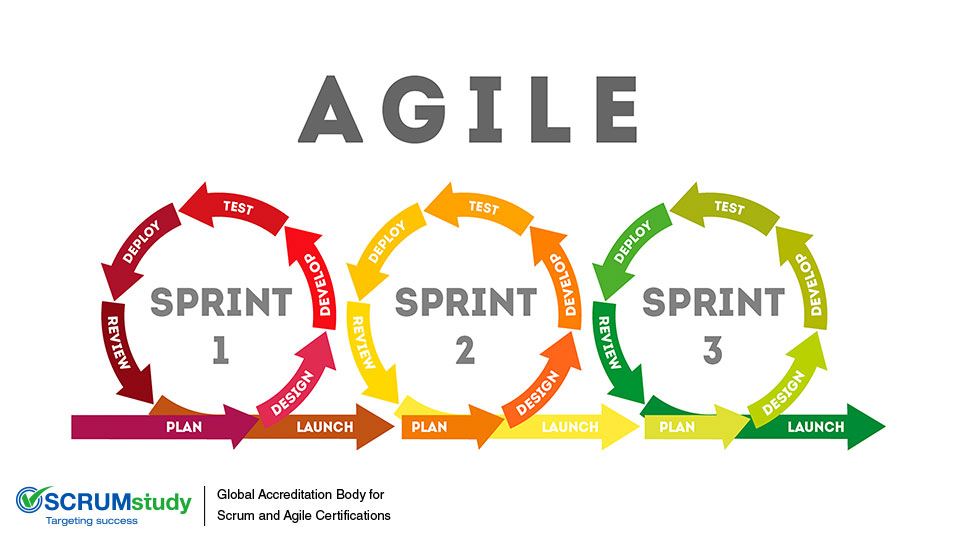 Blending Agile Frameworks for Project Success