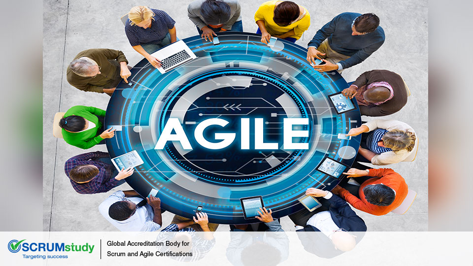 How Well Does Agile Function for Large Organizations