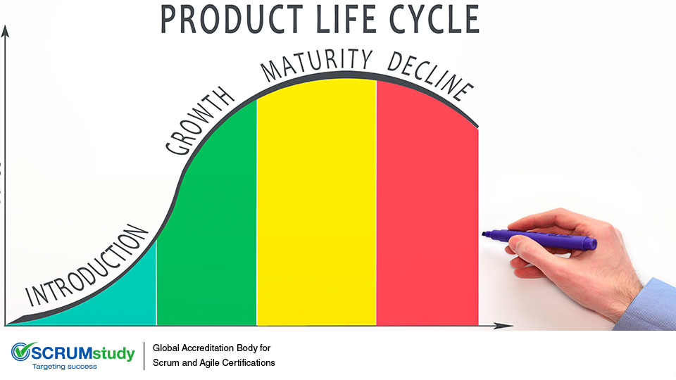 Business Justification and the Project Lifecycle