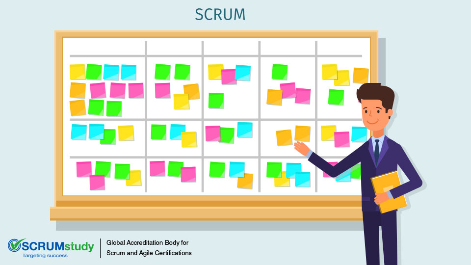 How to Choose Scrum Master(s) and Stakeholder(s)?