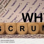 Why Use Scrum?