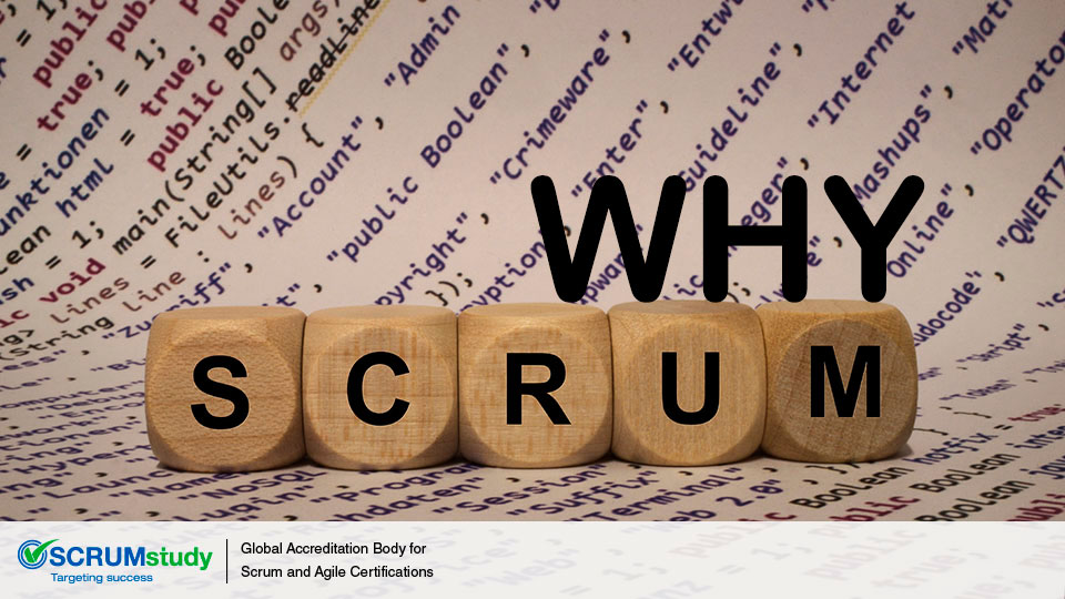 Why Use Scrum?