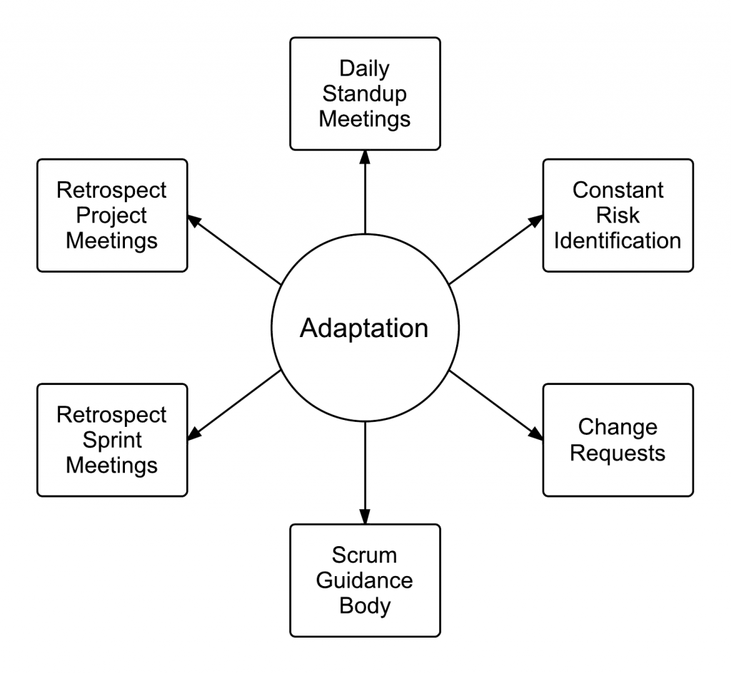 Adaptation process